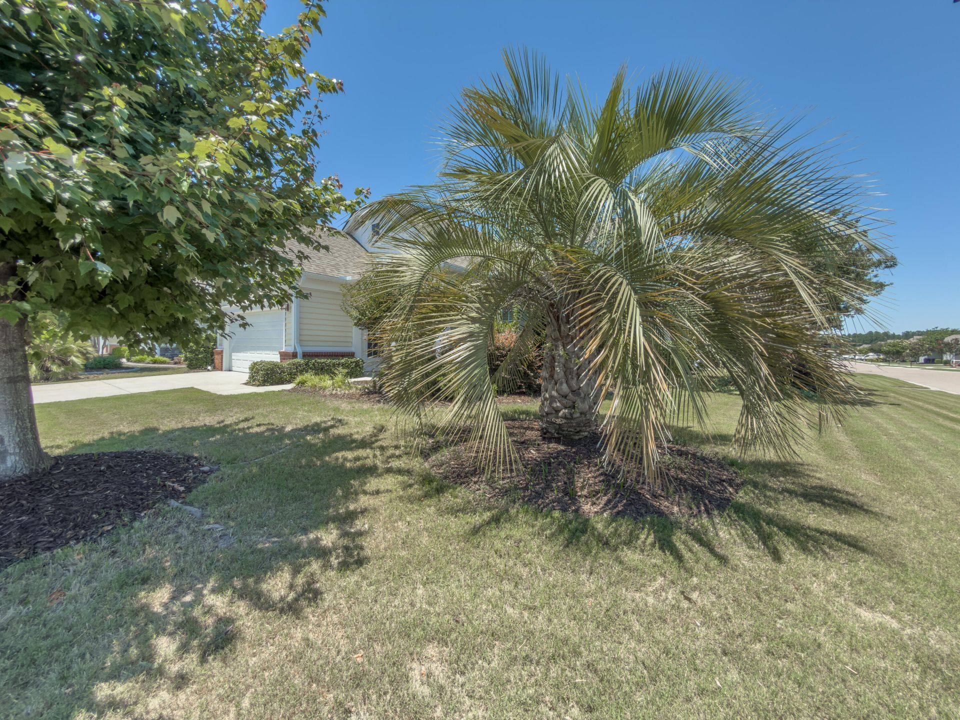 318 Oyster Bay Drive Photo 25