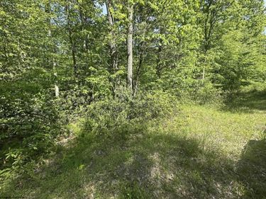 Lot 65 Pine Drive, Terra Alta, WV 26764