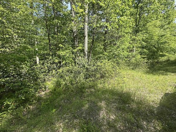 Lot 65 Pine Drive, Terra Alta, WV 26764