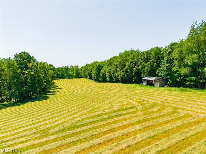 3188 SW Amsterdam Road, Scio, OH 43986 Photo 12