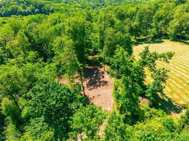 3188 SW Amsterdam Road, Scio, OH 43986 Photo 15