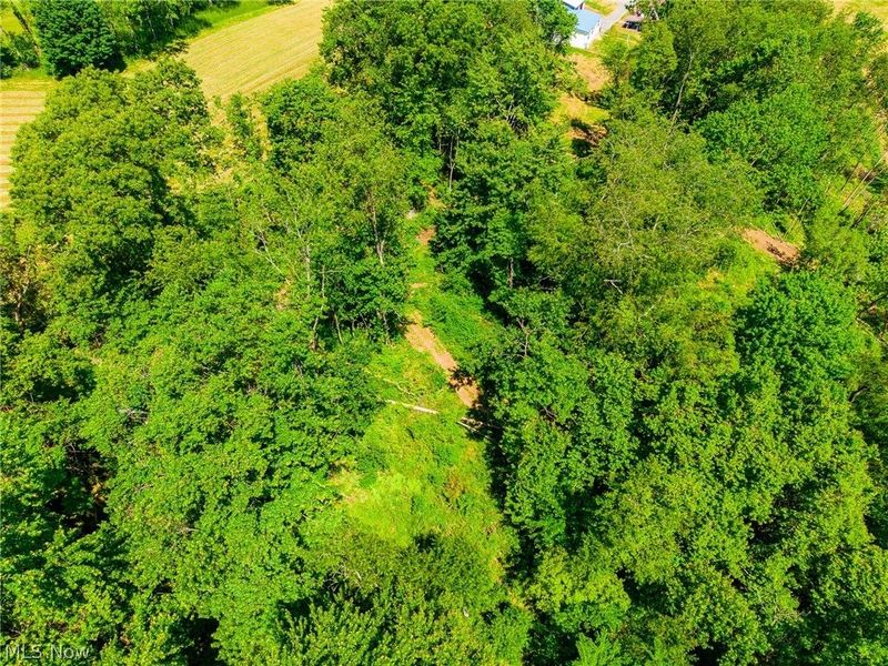 3188 SW Amsterdam Road, Scio, OH 43986 Photo 17