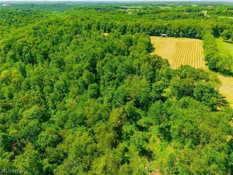 3188 SW Amsterdam Road, Scio, OH 43986 Photo 21