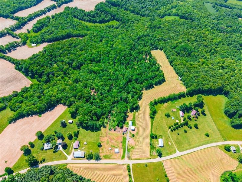 3188 SW Amsterdam Road, Scio, OH 43986 Photo 5