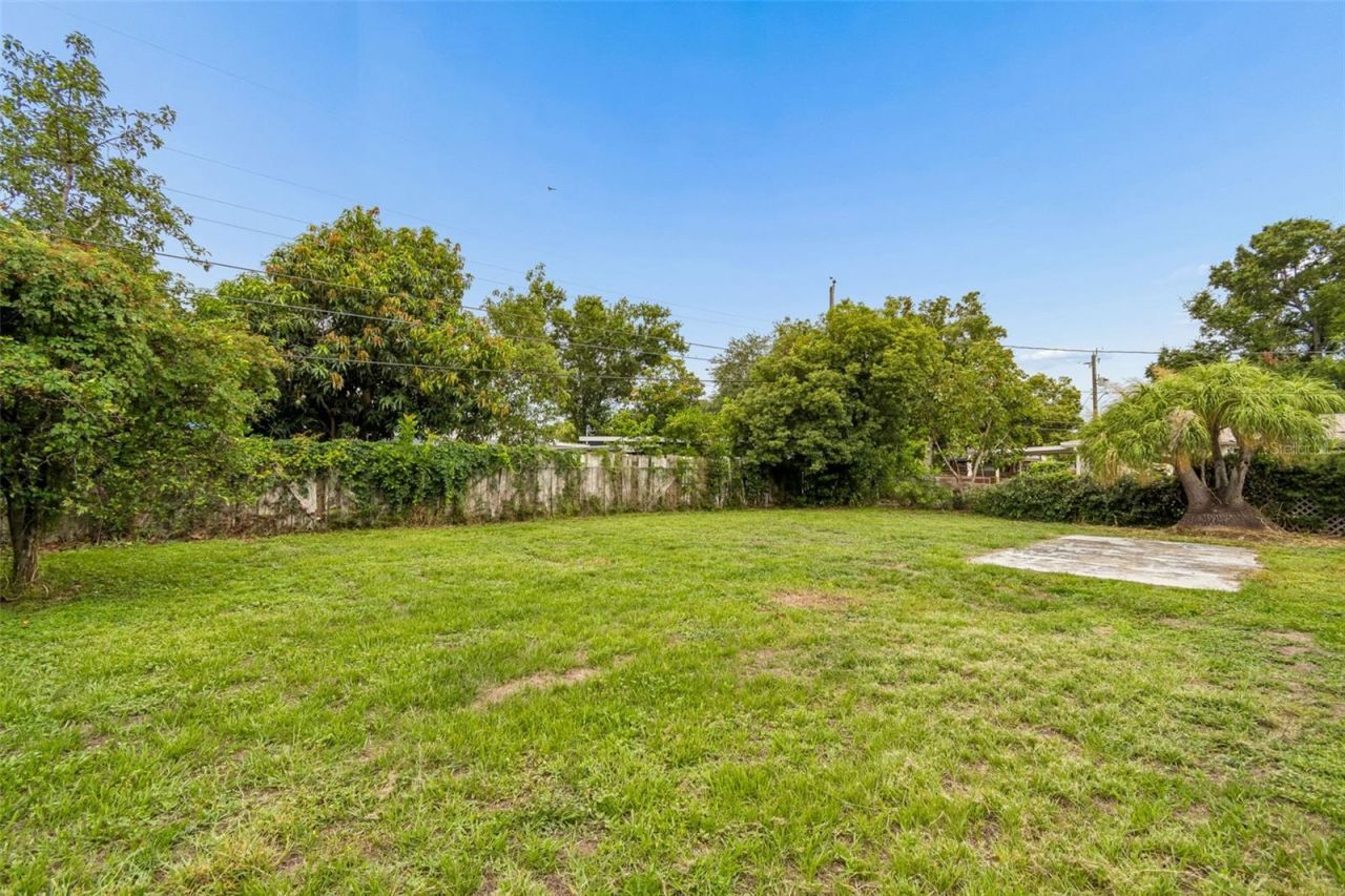 3664 29th Avenue N, Saint Petersburg, FL 33713 Photo