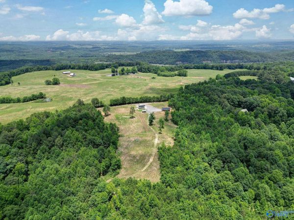 1129 Sloan Drive, Blountsville, AL 35031