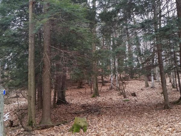 S Sable Pointe Drive, Shelby, MI 49455