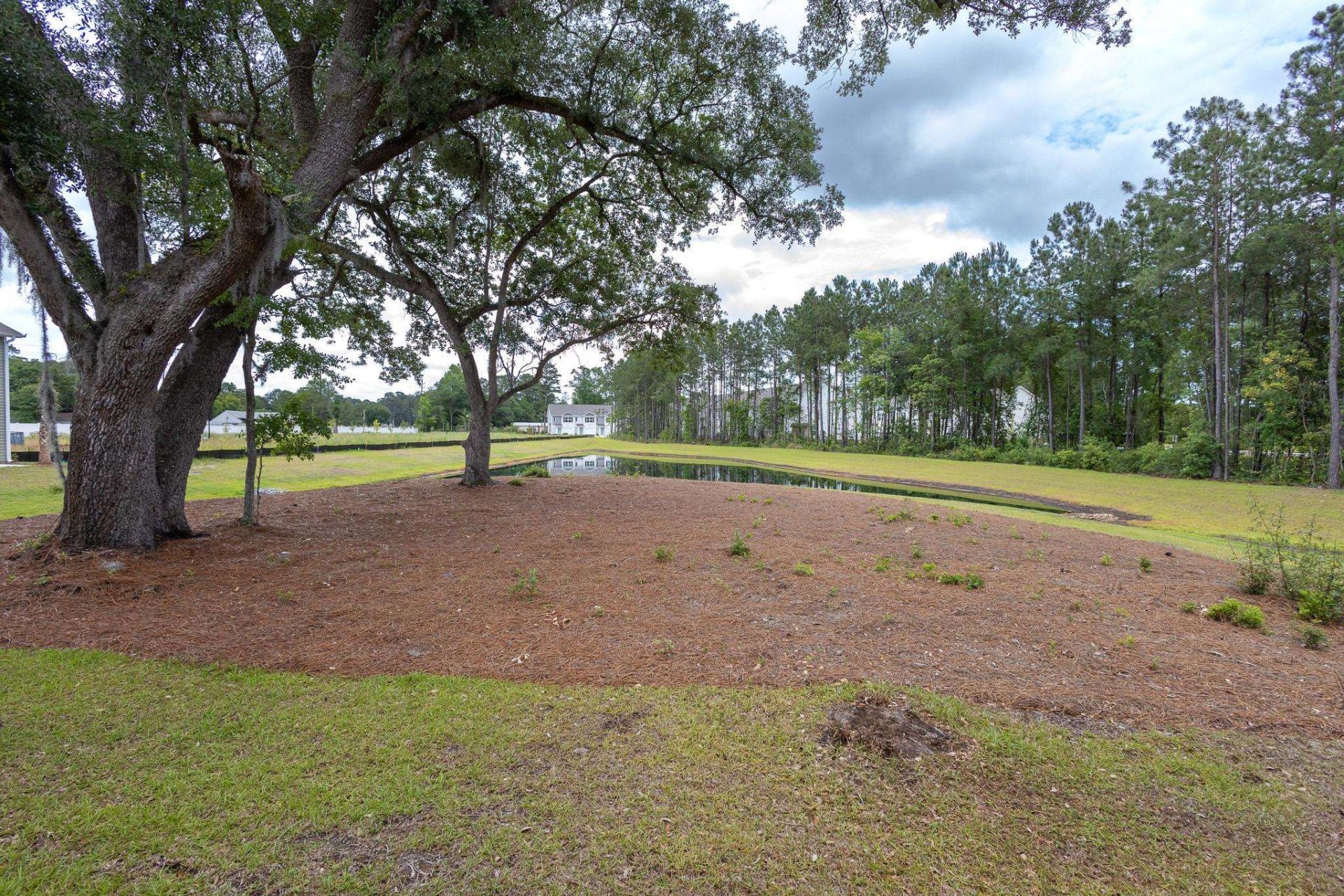 167 Harvest Gold Dr.  Photo 13