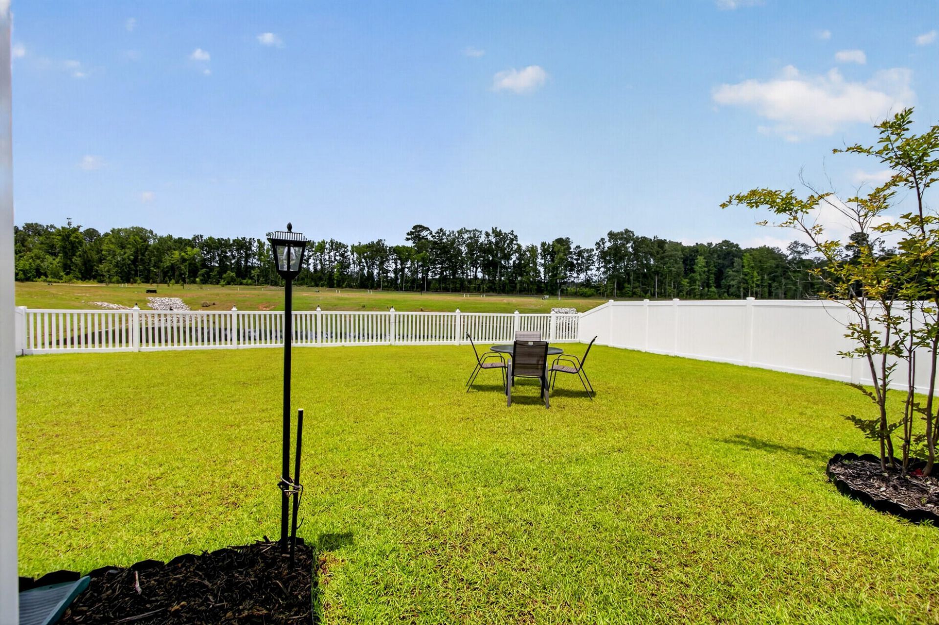 113 Palfrey Drive Photo 41