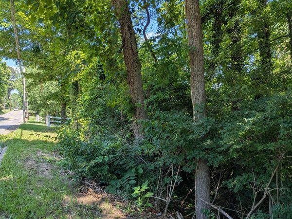 Cedar Lane, Knoxville, TN 37918