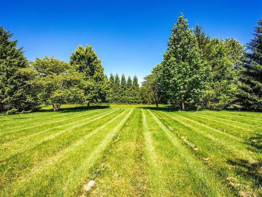 Property Image 74