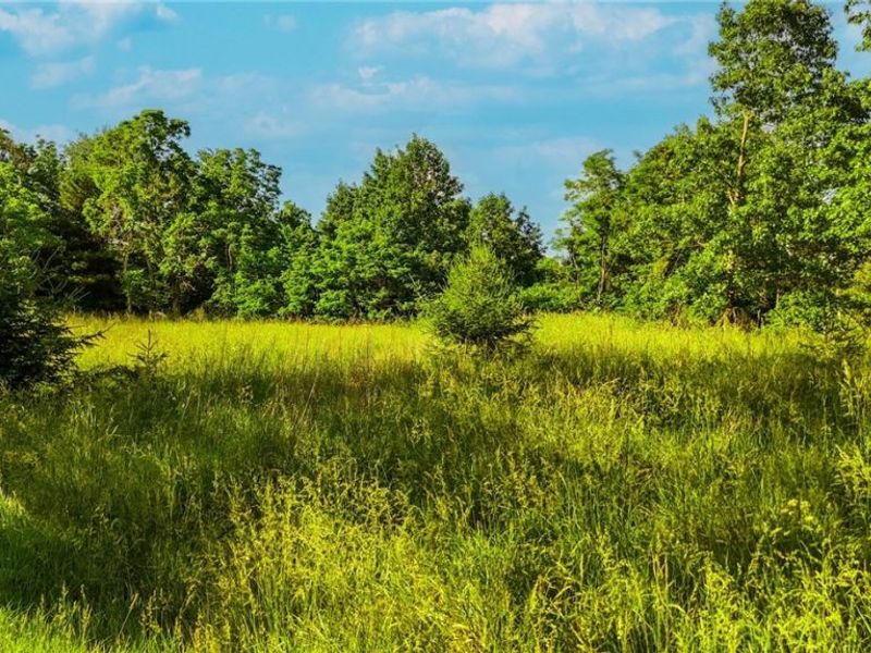 3590 Stanleyville Road , Whipple, OH 45788 Photo 37
