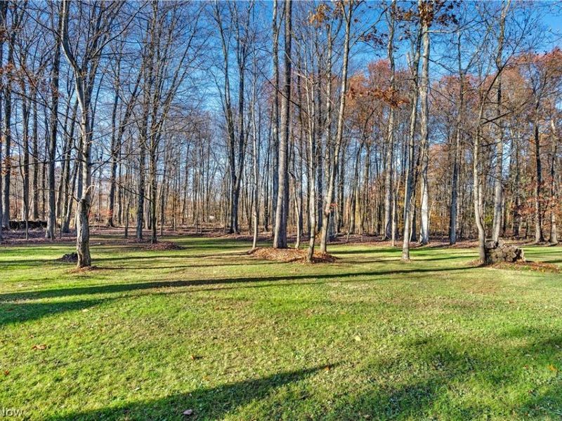 4000 Shields Road, Canfield, OH 44406 Photo 10