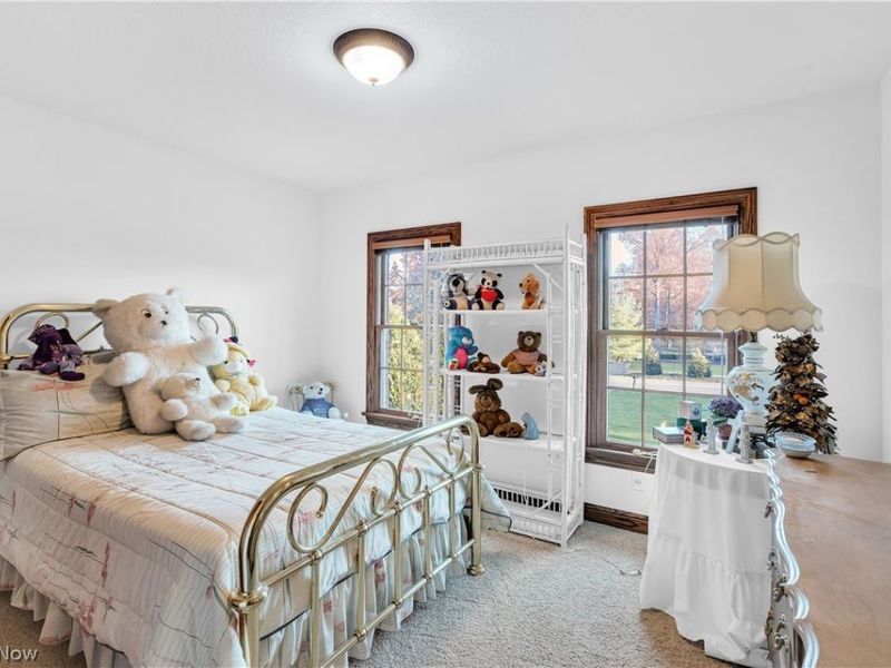 4000 Shields Road, Canfield, OH 44406 Photo 45