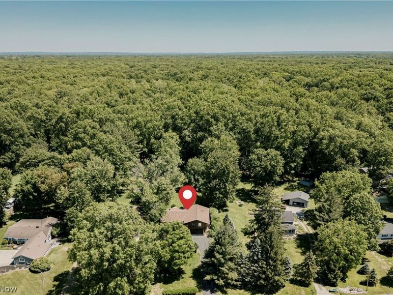 31915 Center Ridge Road , North Ridgeville, OH 44039 Photo 3