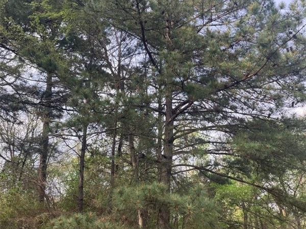 TBD McDonald Boulevard , London, AR 72847