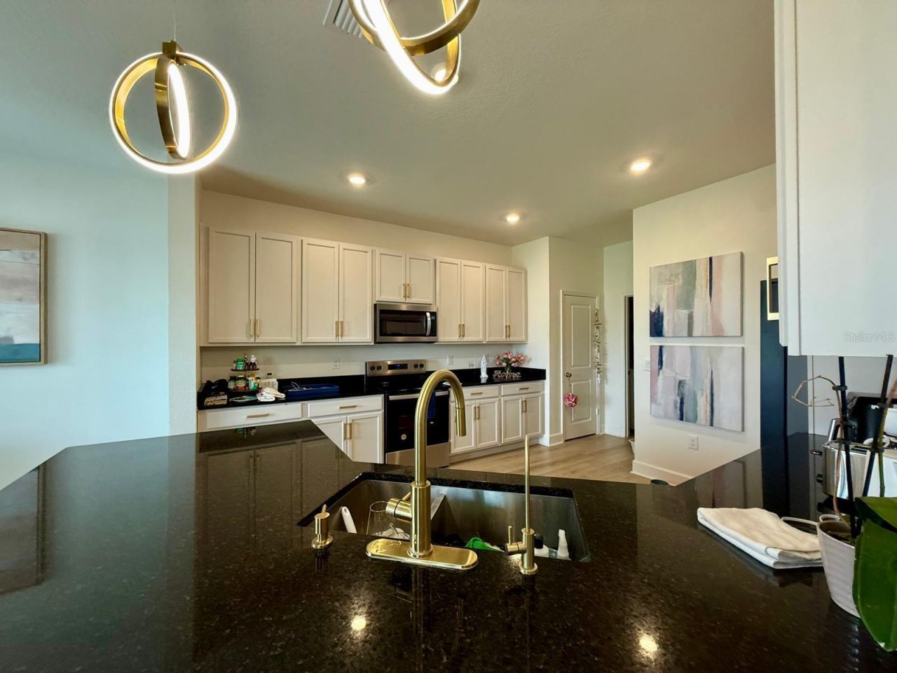 16522 Brook Isle Way, Clermont, FL 34714 Photo