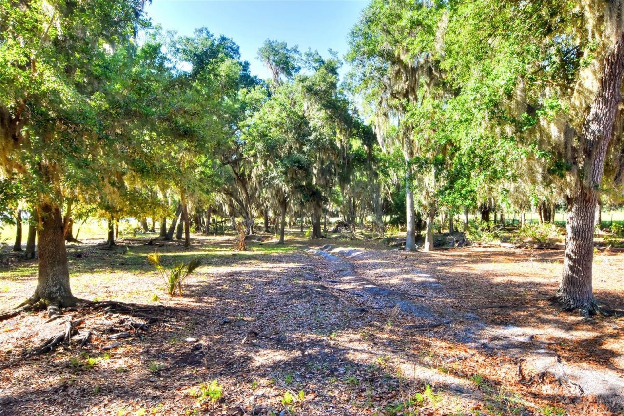 Please Call For Address, Lithia, FL 33547 Photo
