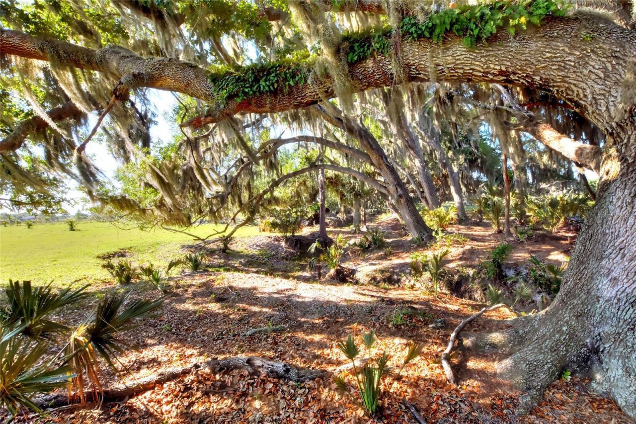 Please Call For Address, Lithia, FL 33547 Photo