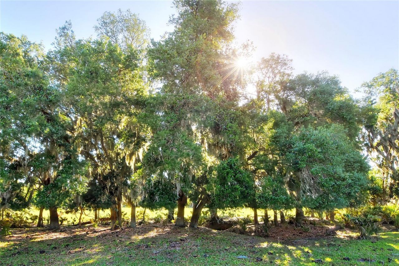 Please Call For Address, Lithia, FL 33547 Photo