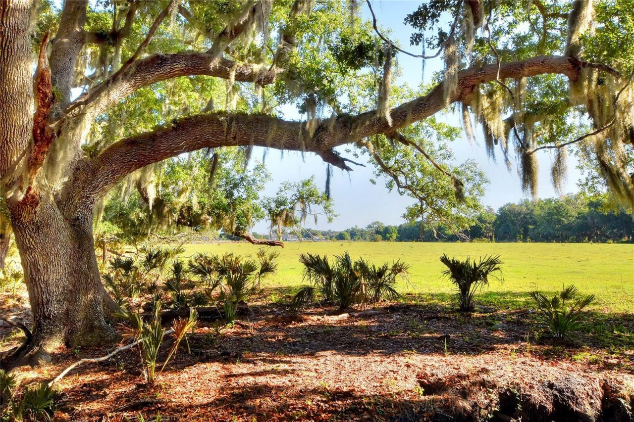 Please Call For Address, Lithia, FL 33547 Photo