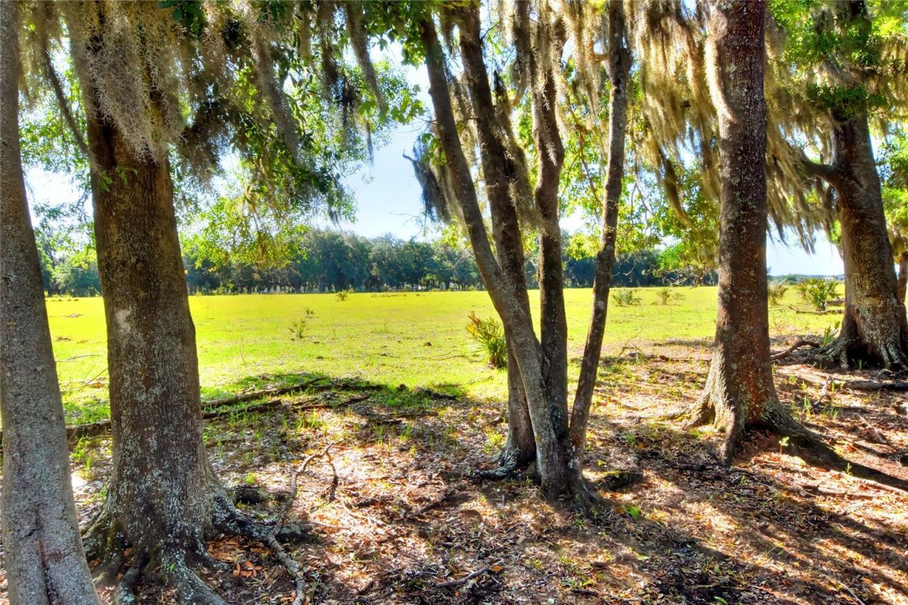 Please Call For Address, Lithia, FL 33547 Photo