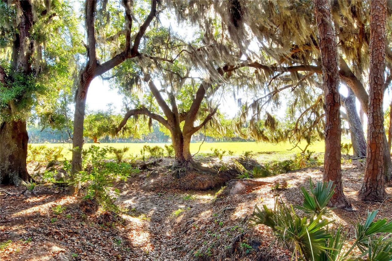 Please Call For Address, Lithia, FL 33547 Photo