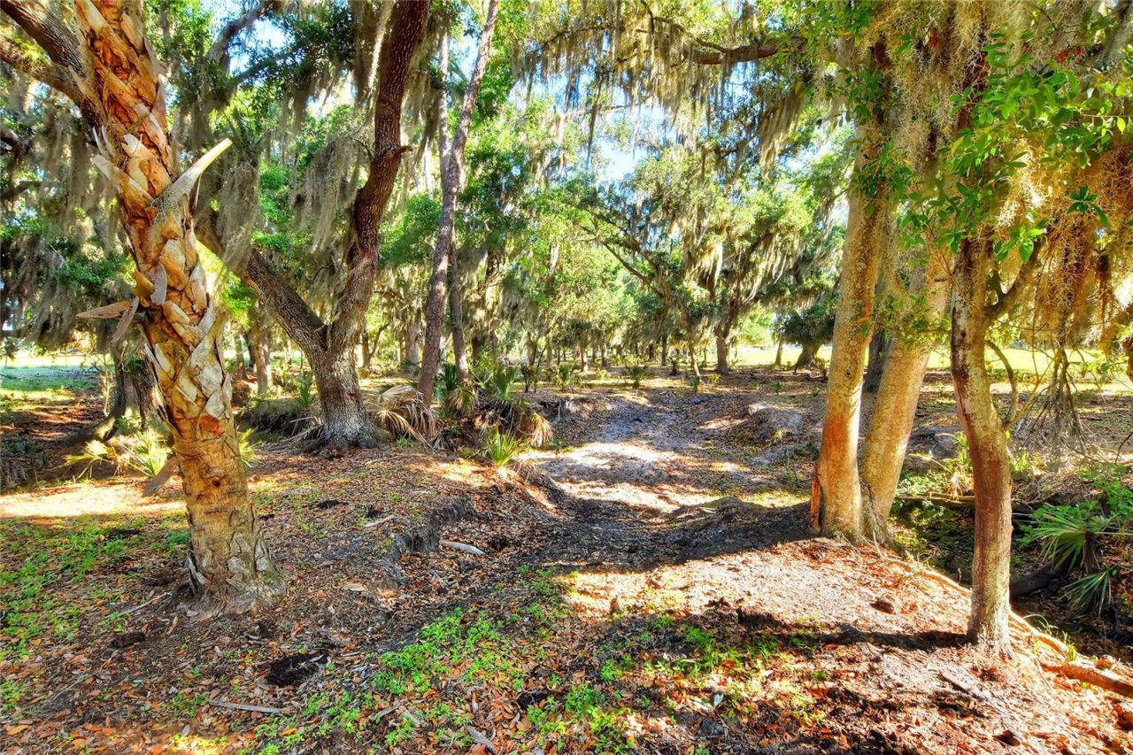 Please Call For Address, Lithia, FL 33547 Photo