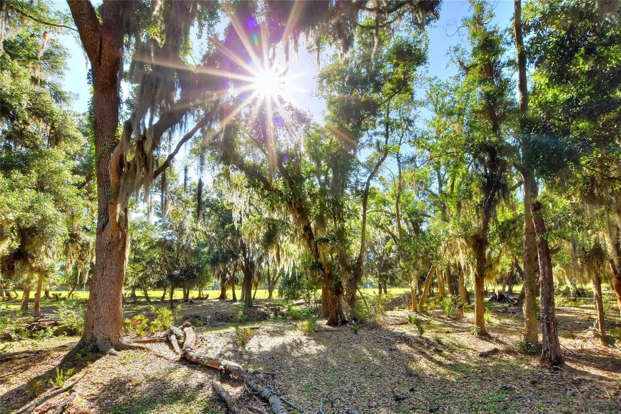 Please Call For Address, Lithia, FL 33547 Photo