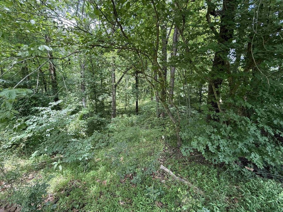 Property Image 33