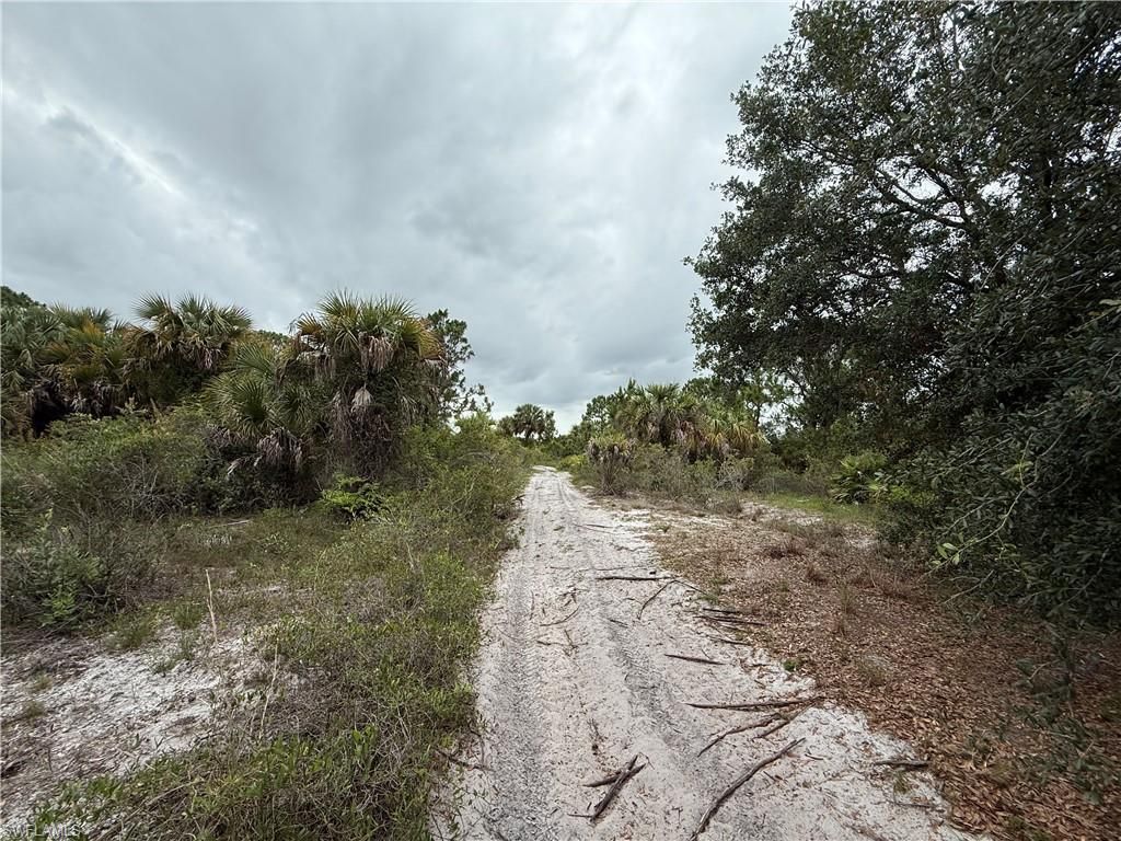 Eisenhower Blvd, Lehigh Acres, FL 33974 Photo