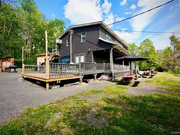 87 Debruce Road , Livingston Manor, NY 12758