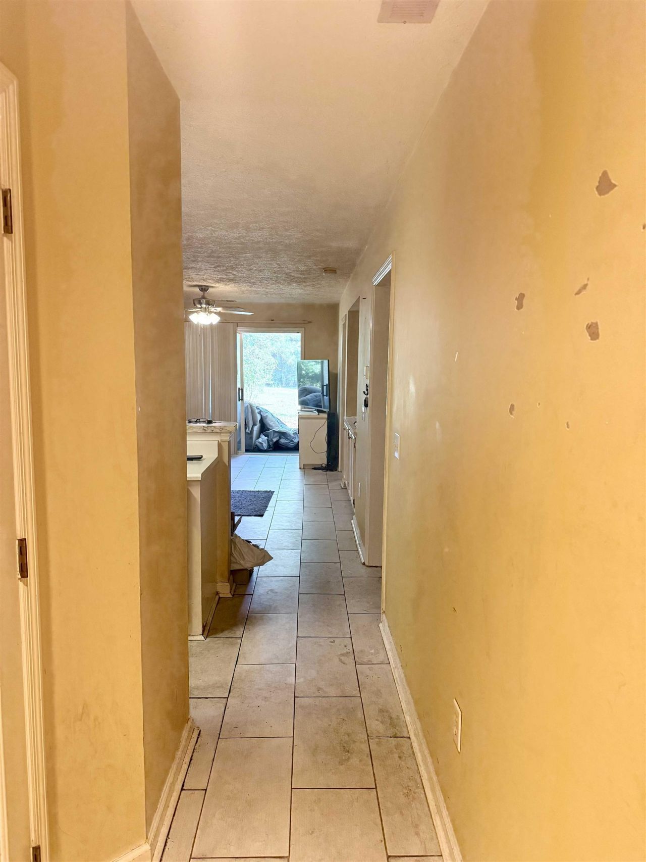 453 Red River Ct. Photo 3