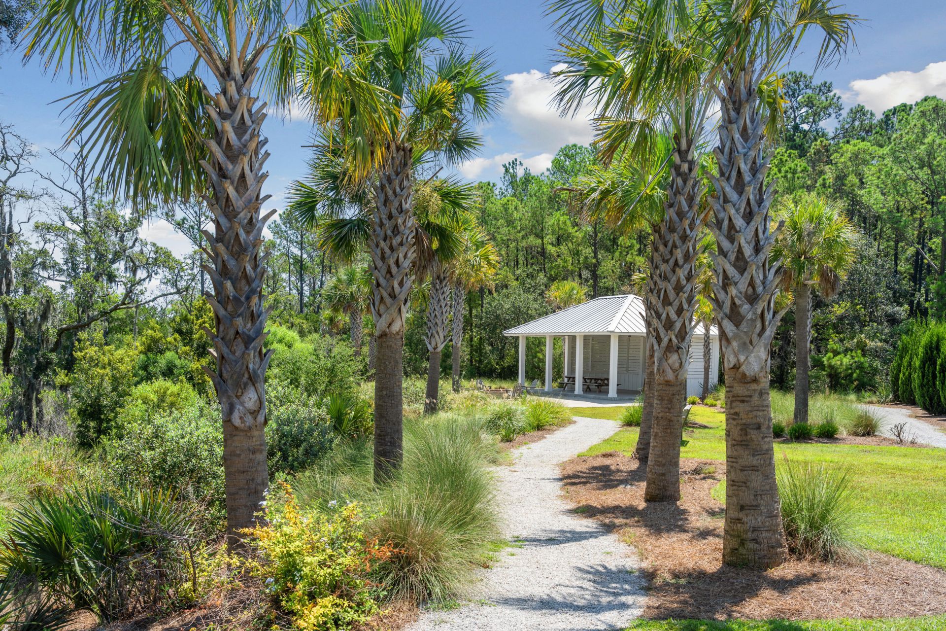 2402 Jasper Patterson Drive Photo 66