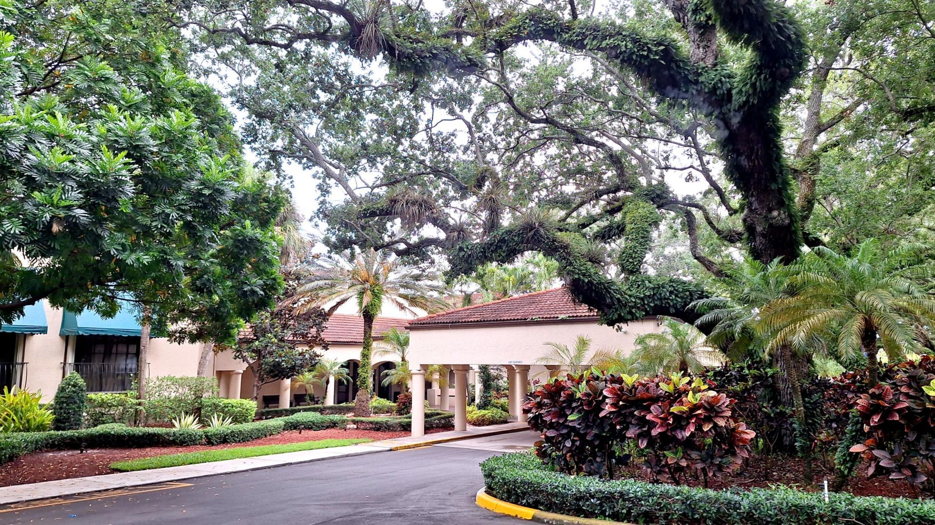 1719 Whitehall Drive, Unit 103, Davie, FL 33324 Photo