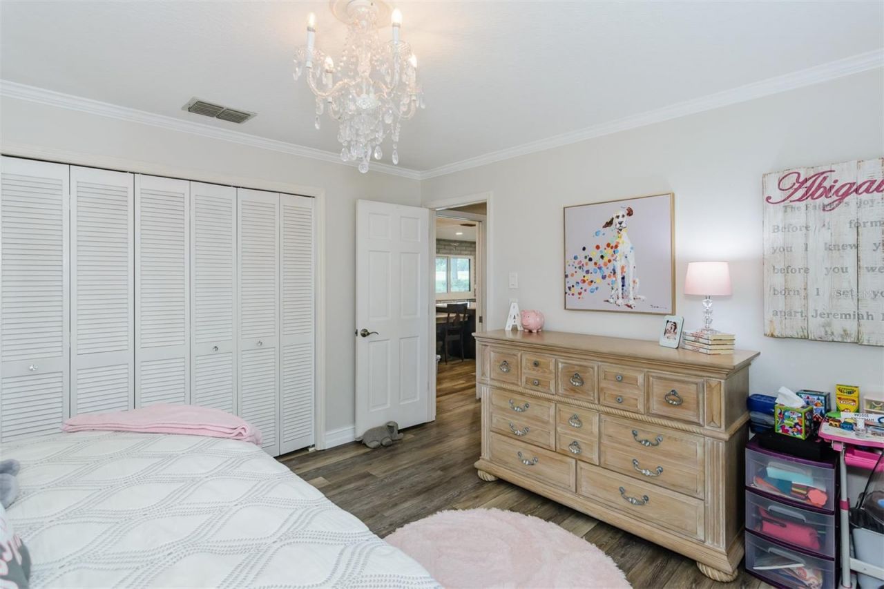 3230 Sandy Ridge Drive, Clearwater, FL 33761 Photo