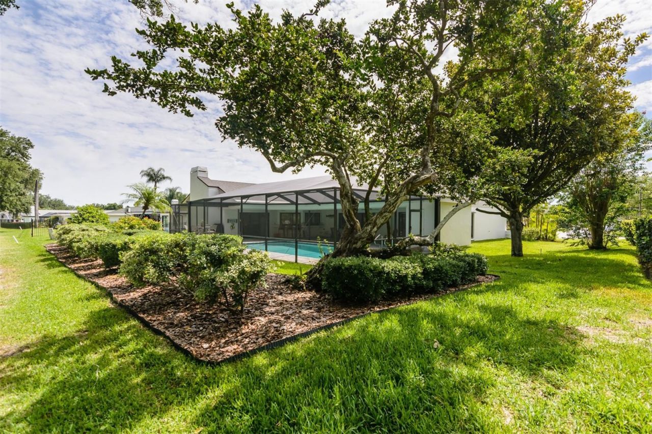 3230 Sandy Ridge Drive, Clearwater, FL 33761 Photo