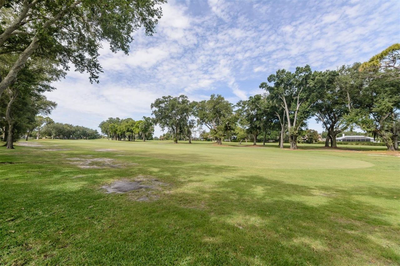 3230 Sandy Ridge Drive, Clearwater, FL 33761 Photo