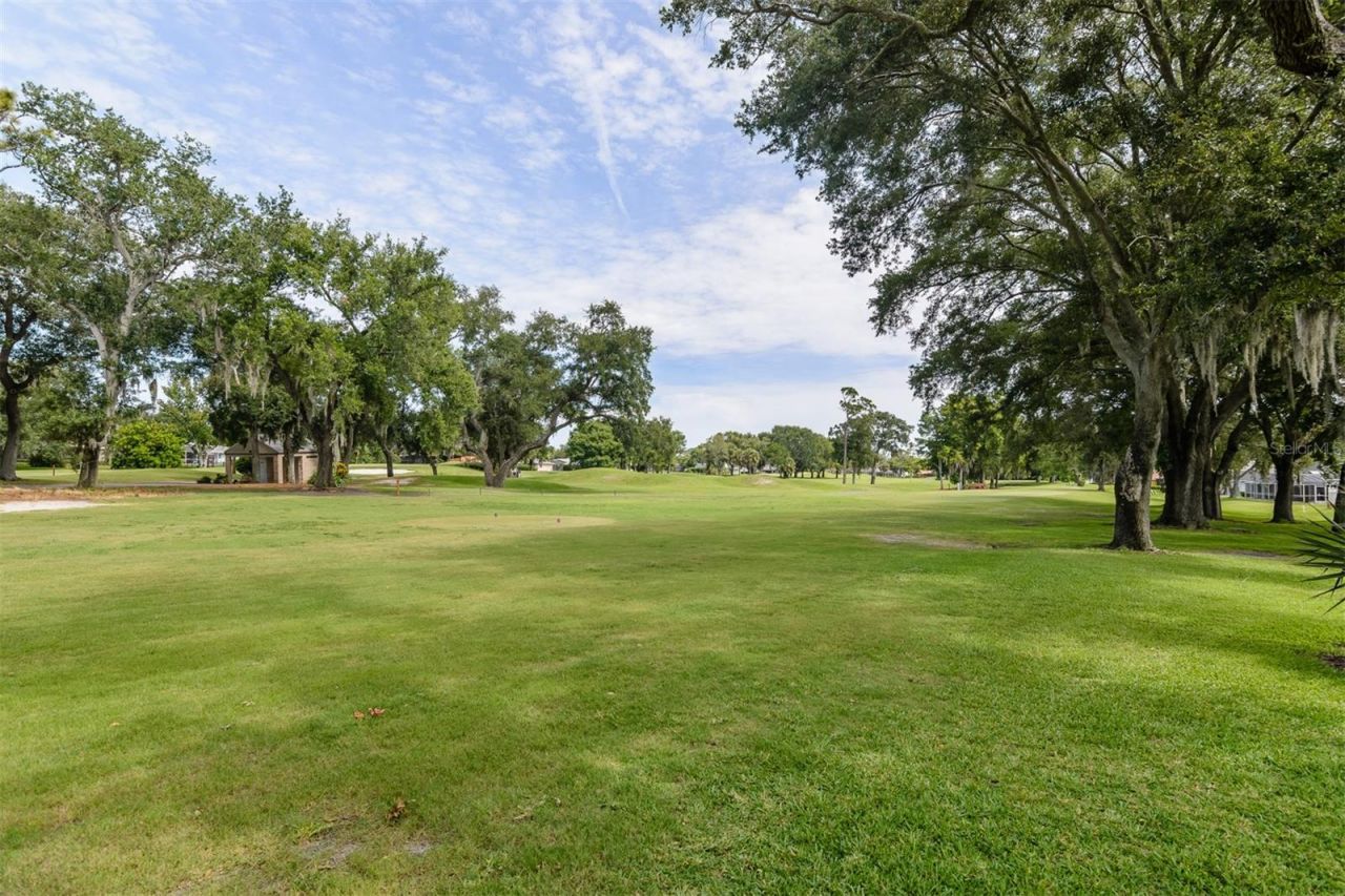 3230 Sandy Ridge Drive, Clearwater, FL 33761 Photo