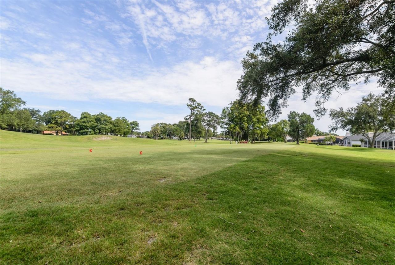 3230 Sandy Ridge Drive, Clearwater, FL 33761 Photo