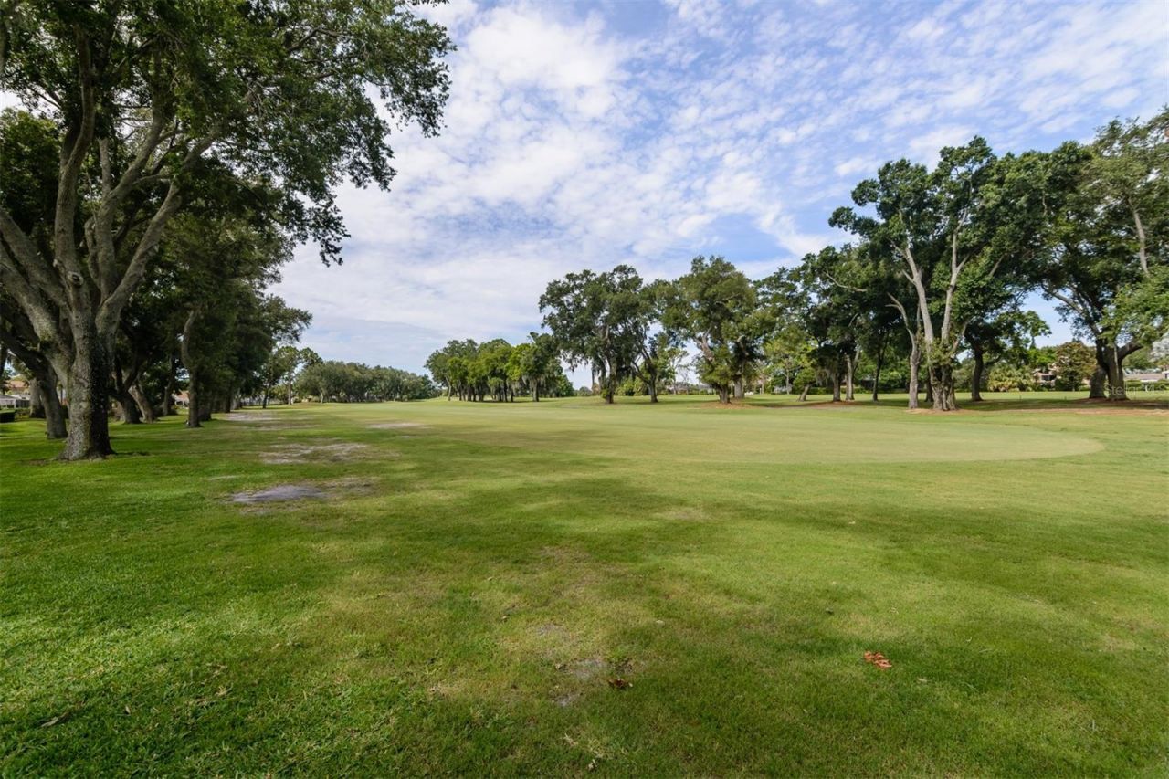 3230 Sandy Ridge Drive, Clearwater, FL 33761 Photo
