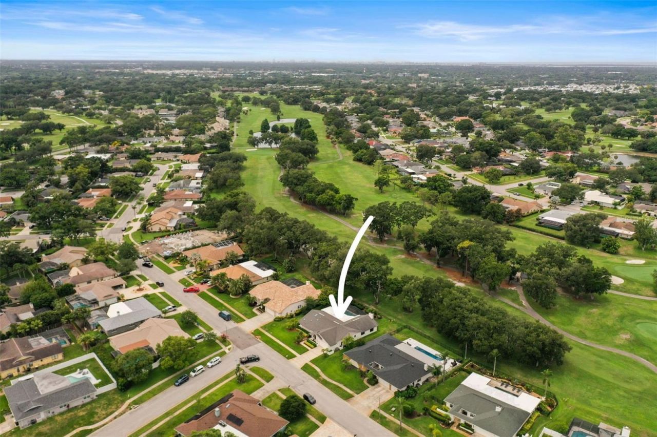 3230 Sandy Ridge Drive, Clearwater, FL 33761 Photo