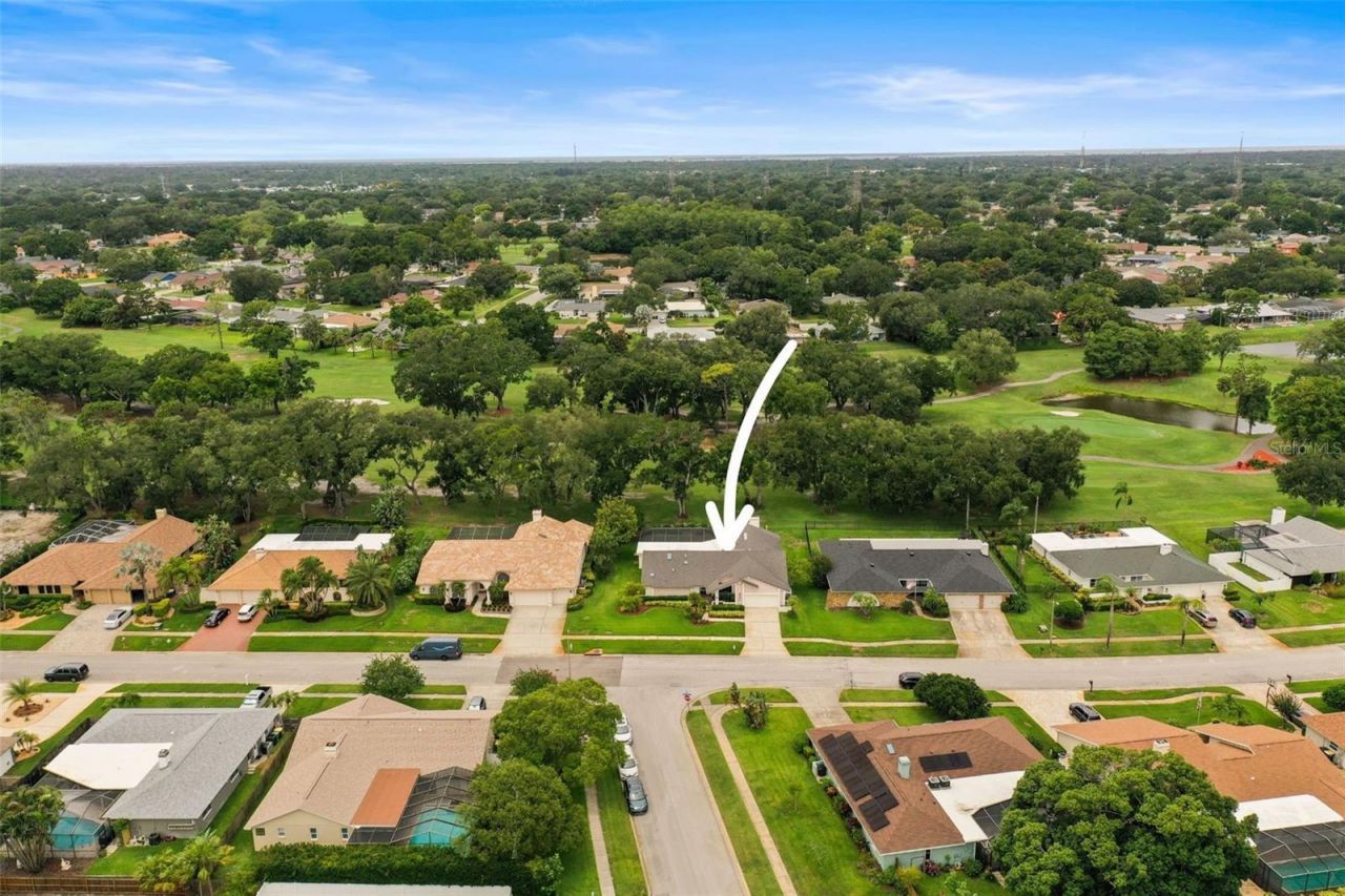 3230 Sandy Ridge Drive, Clearwater, FL 33761 Photo