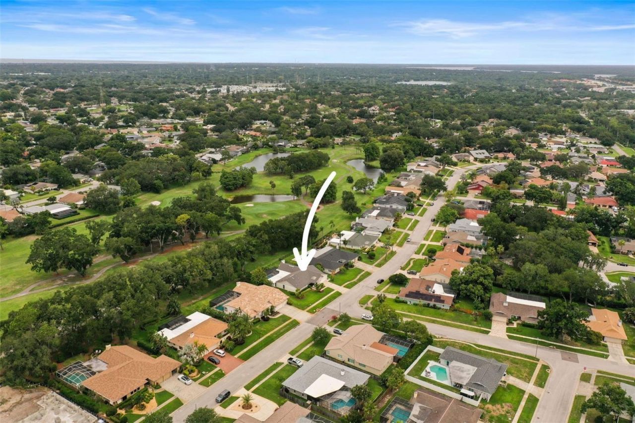 3230 Sandy Ridge Drive, Clearwater, FL 33761 Photo