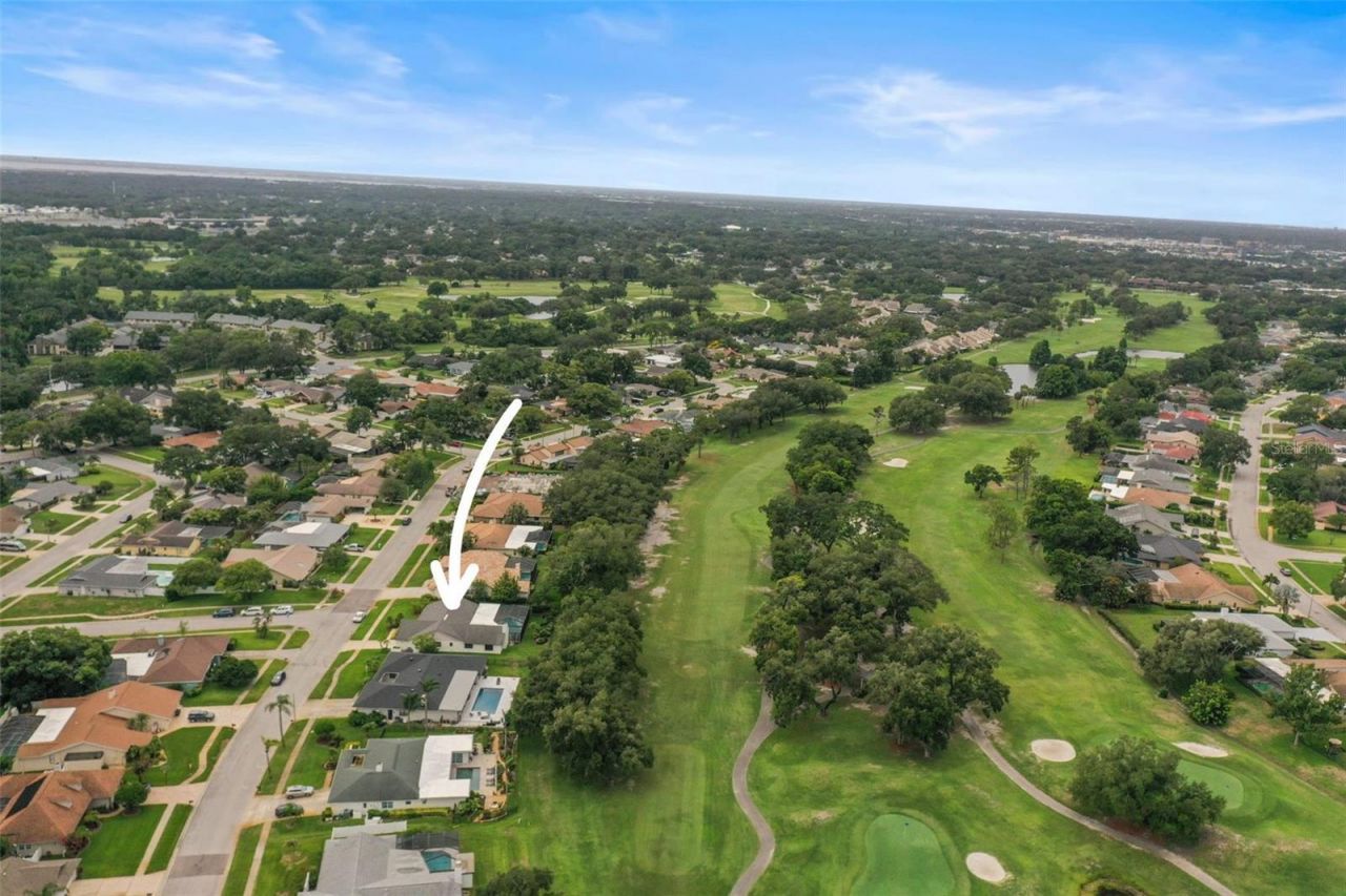 3230 Sandy Ridge Drive, Clearwater, FL 33761 Photo