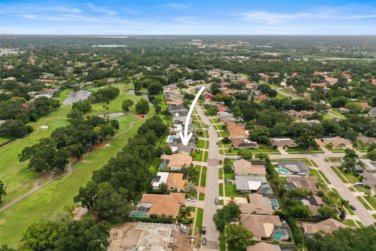 3230 Sandy Ridge Drive, Clearwater, FL 33761 Photo