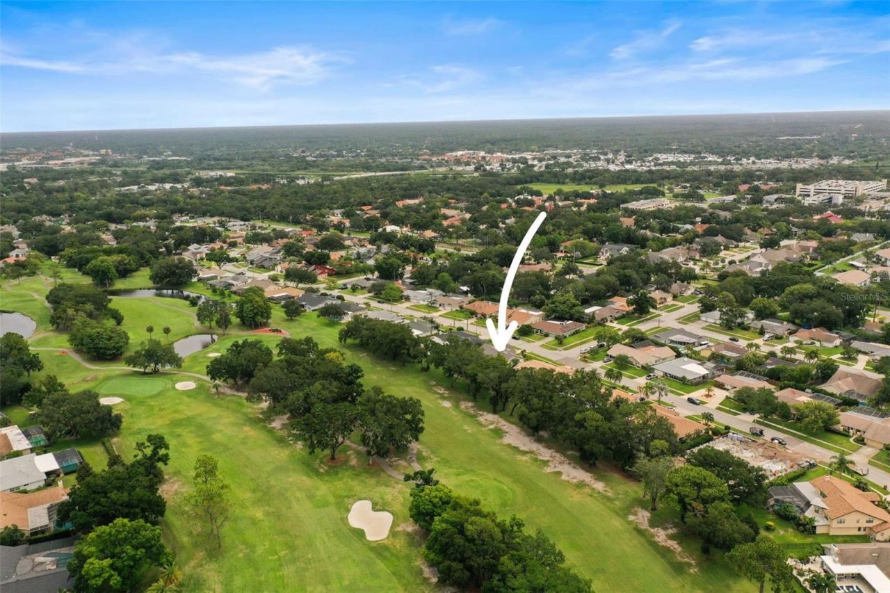 3230 Sandy Ridge Drive, Clearwater, FL 33761 Photo