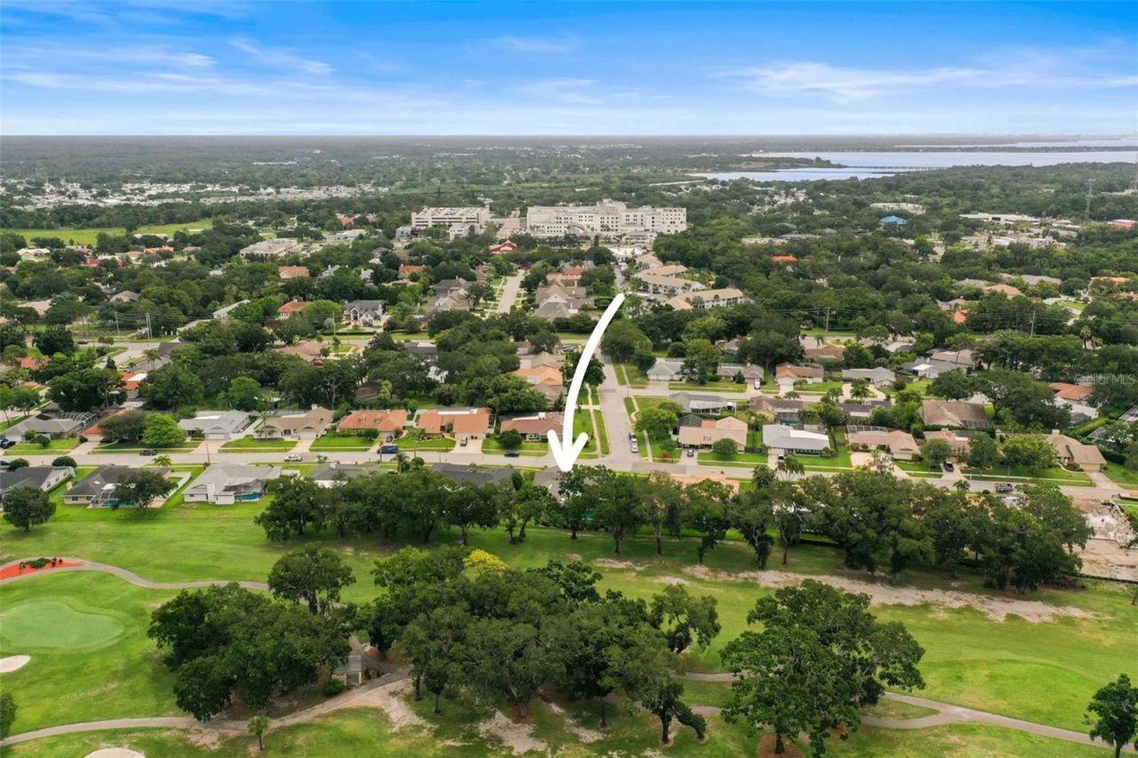 3230 Sandy Ridge Drive, Clearwater, FL 33761 Photo