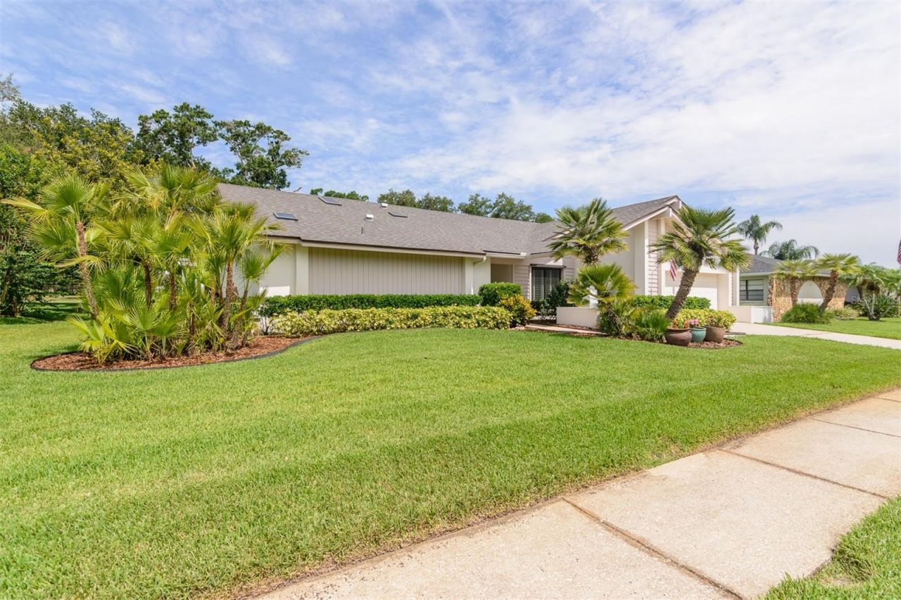 3230 Sandy Ridge Drive, Clearwater, FL 33761 Photo