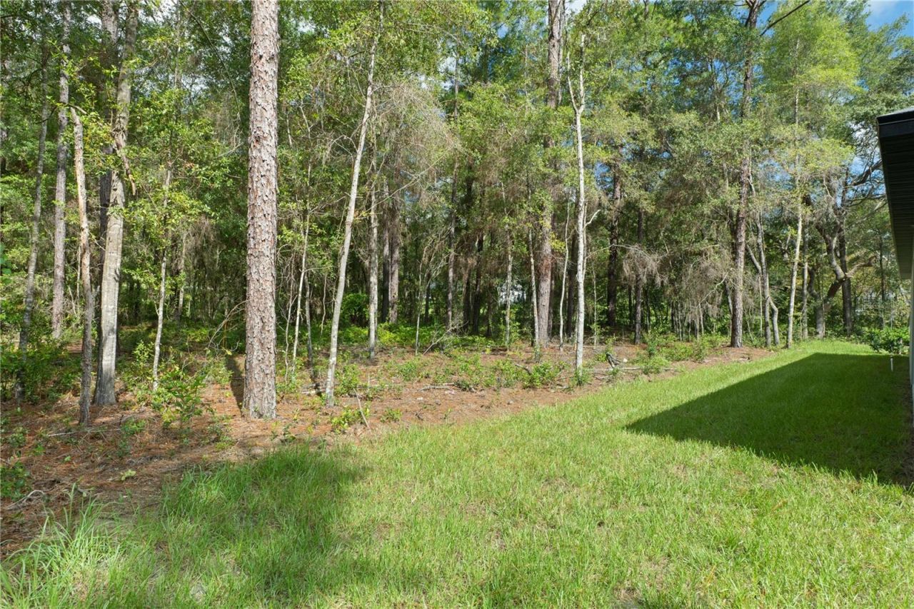 12 S School Avenue, Lecanto, FL 34461 Photo